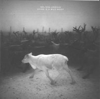 Melissa Laveaux DYING IS A WILD NIGHT Vincent Taurelle CD