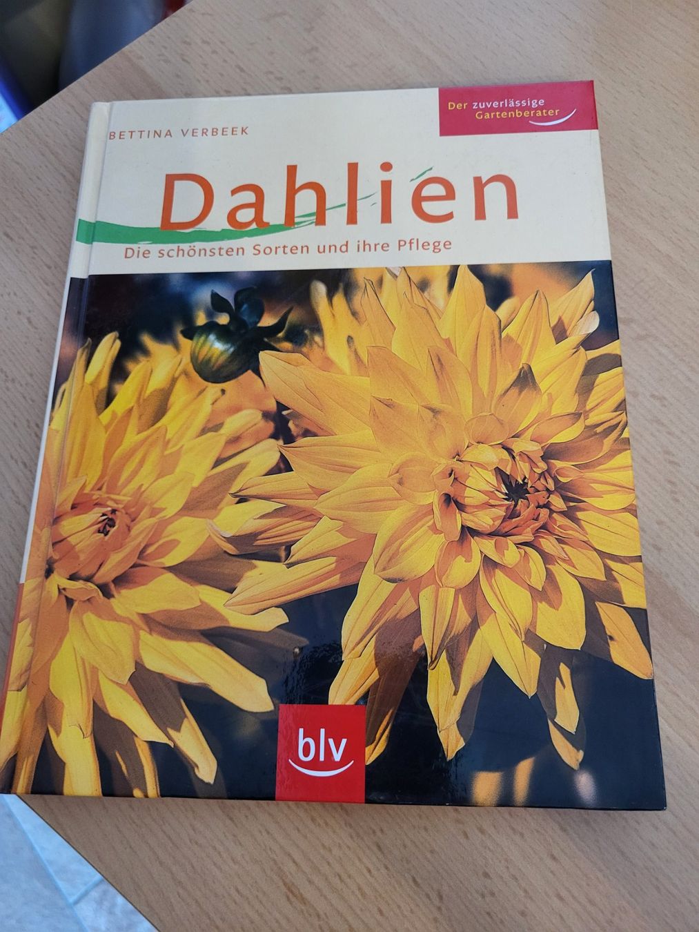 Libri: Garten/ Dahlien – Nuovo (secondo la descrizione) da Brugg AG venduto da pinussoap