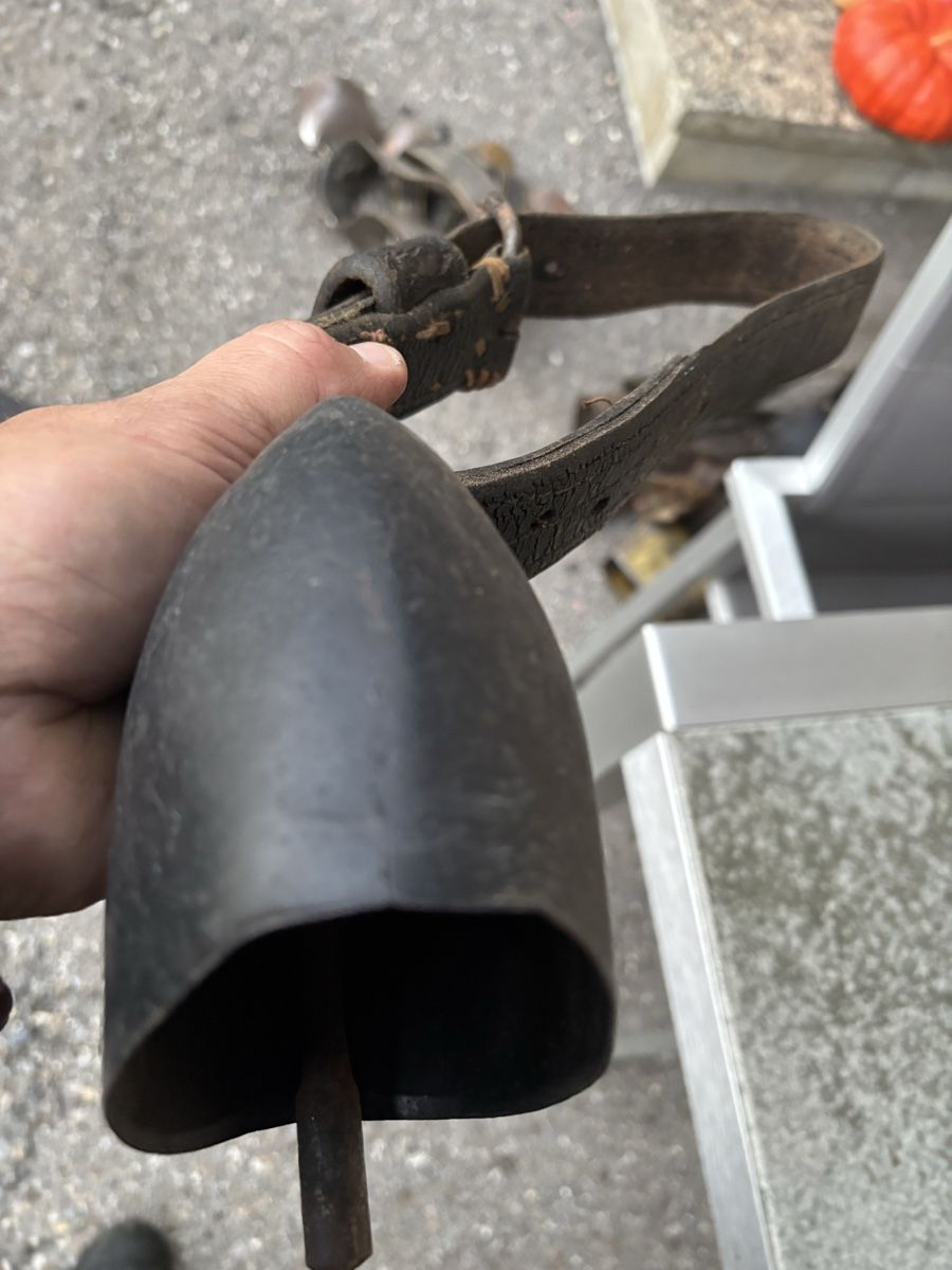 Campanacci mucche: 5 Alte Schaftreicheln. – Usato da Schangnau venduto da Roseggli82 7