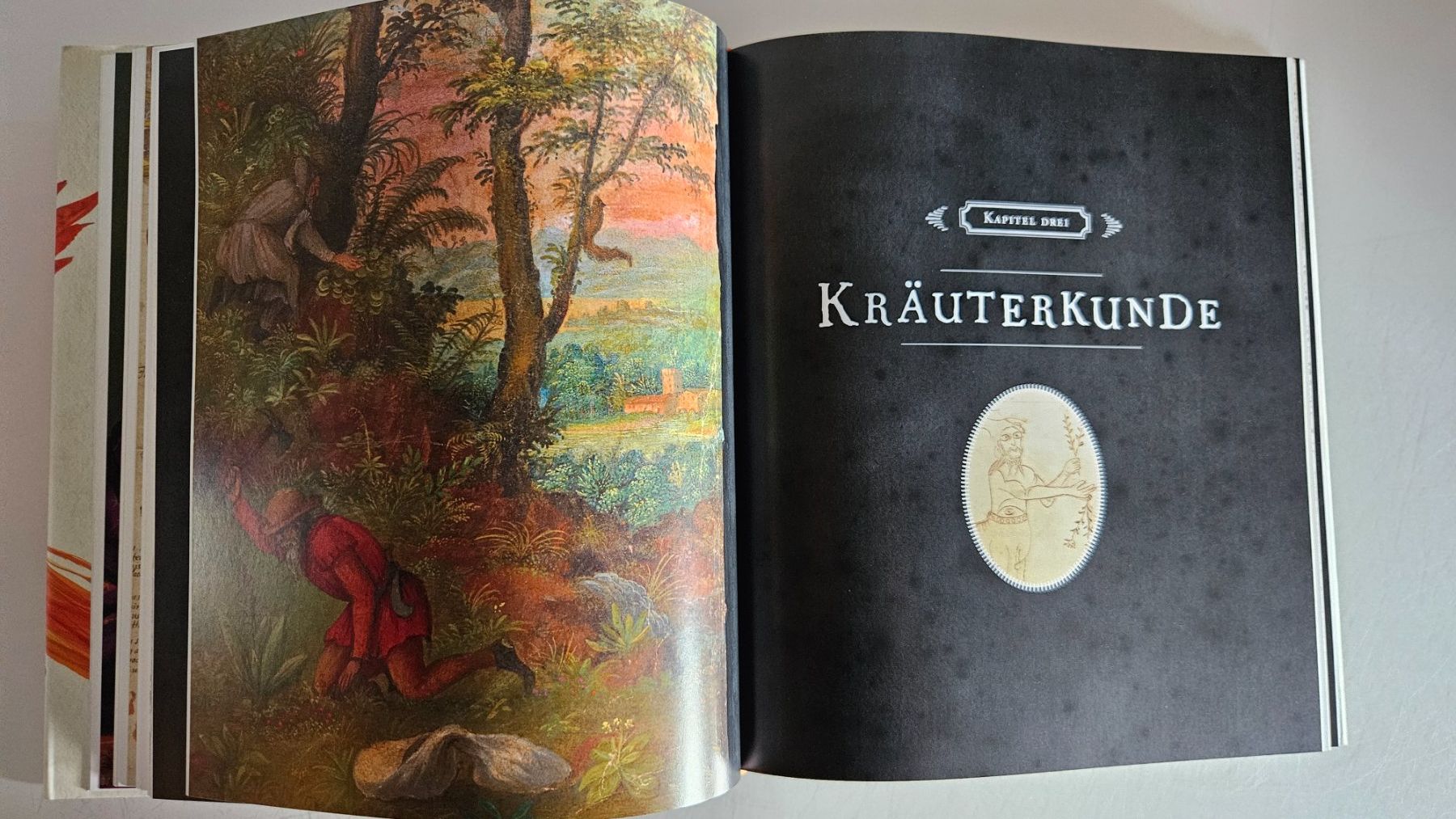 Libri: Harry Potter: Eine Geschichte voller Magie – Usato da Basel venduto da True_Hofer_Store 6