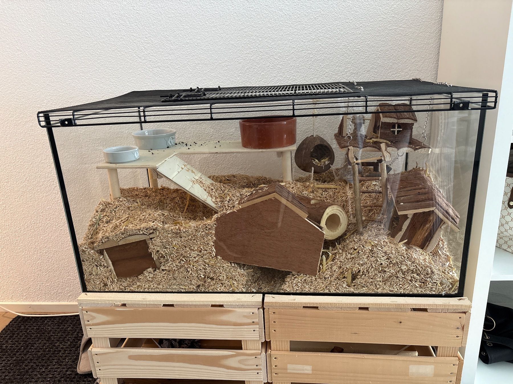 Terrarium: Kleintier-Terrarium – Gebraucht aus Pfäffikon ZH von che_868g