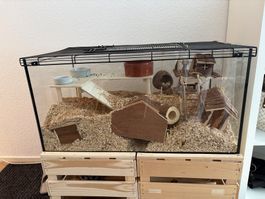 Kleintier-Terrarium