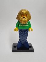 LEGO BAM Late 2023 Fischmann / Fish Man
