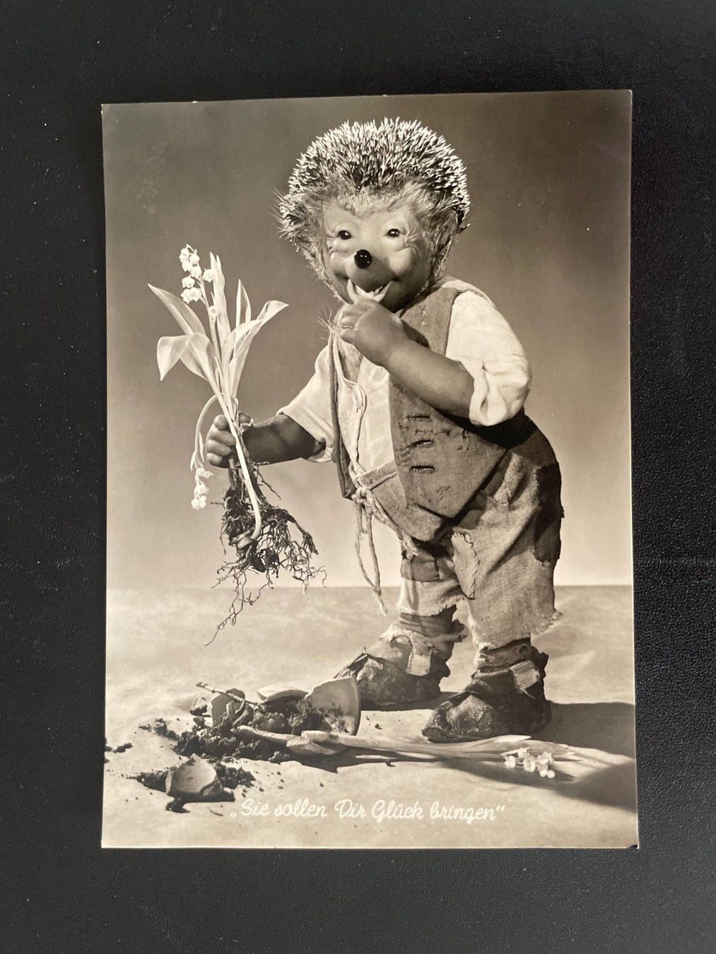Cartoline postali: AK Mecki - Sie sollen Dir Glück bringen - Nr. 26 – Usato da Thal venduto da Danny82