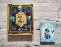 Lot livres Fantasy