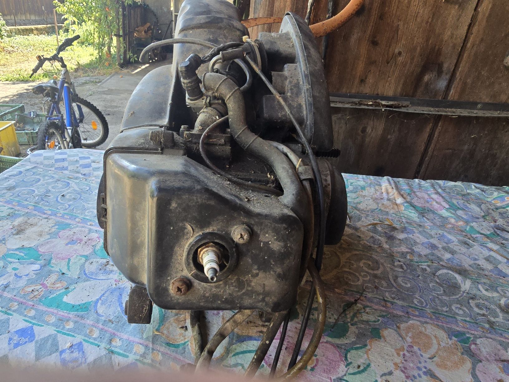 Piaggio Mofa-Ersatzteile: Piaggio Free Motor  – Gebraucht aus Aarberg von 2002stefan 4