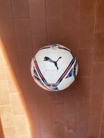 pallone puma