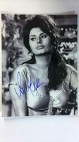 Sophia Loren, Original Autogramm auf Foto in s/w