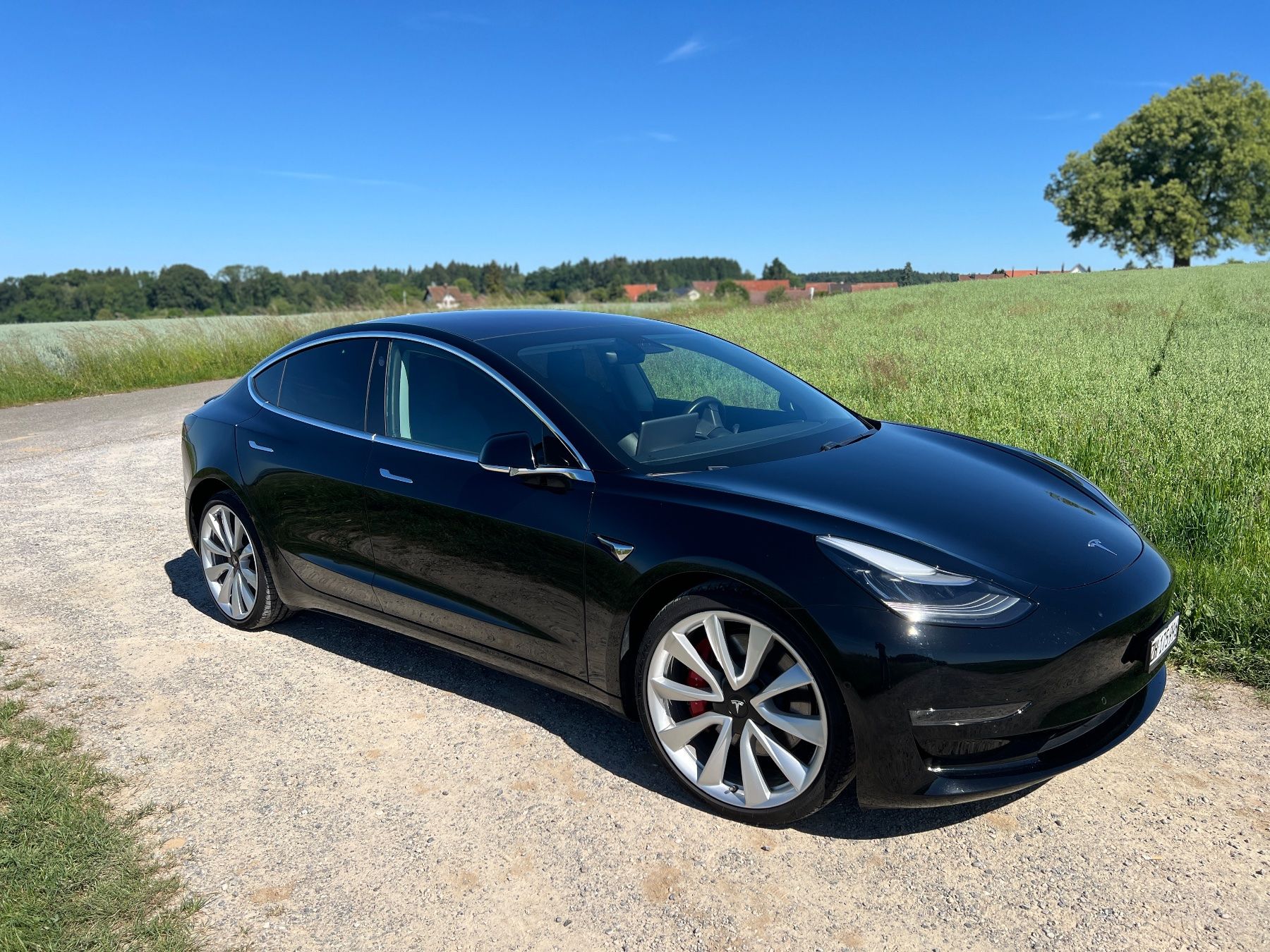 Tesla Automobili: Tesla Model 3 - Performance Dual Motor - FSD – Usato da Nürensdorf venduto da romano_a