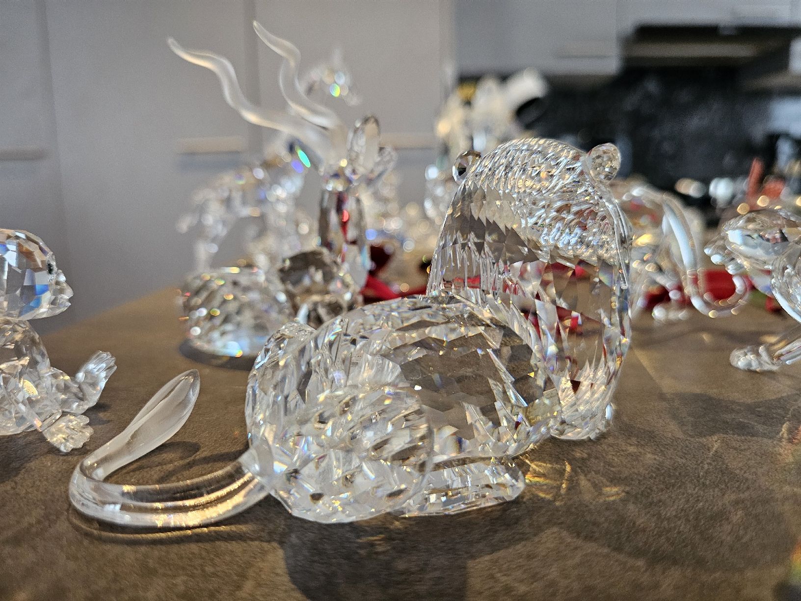 Swarovski Figuren: Swarovski Display – Neu und originalverpackt aus Roggwil BE von val_cqv7 5