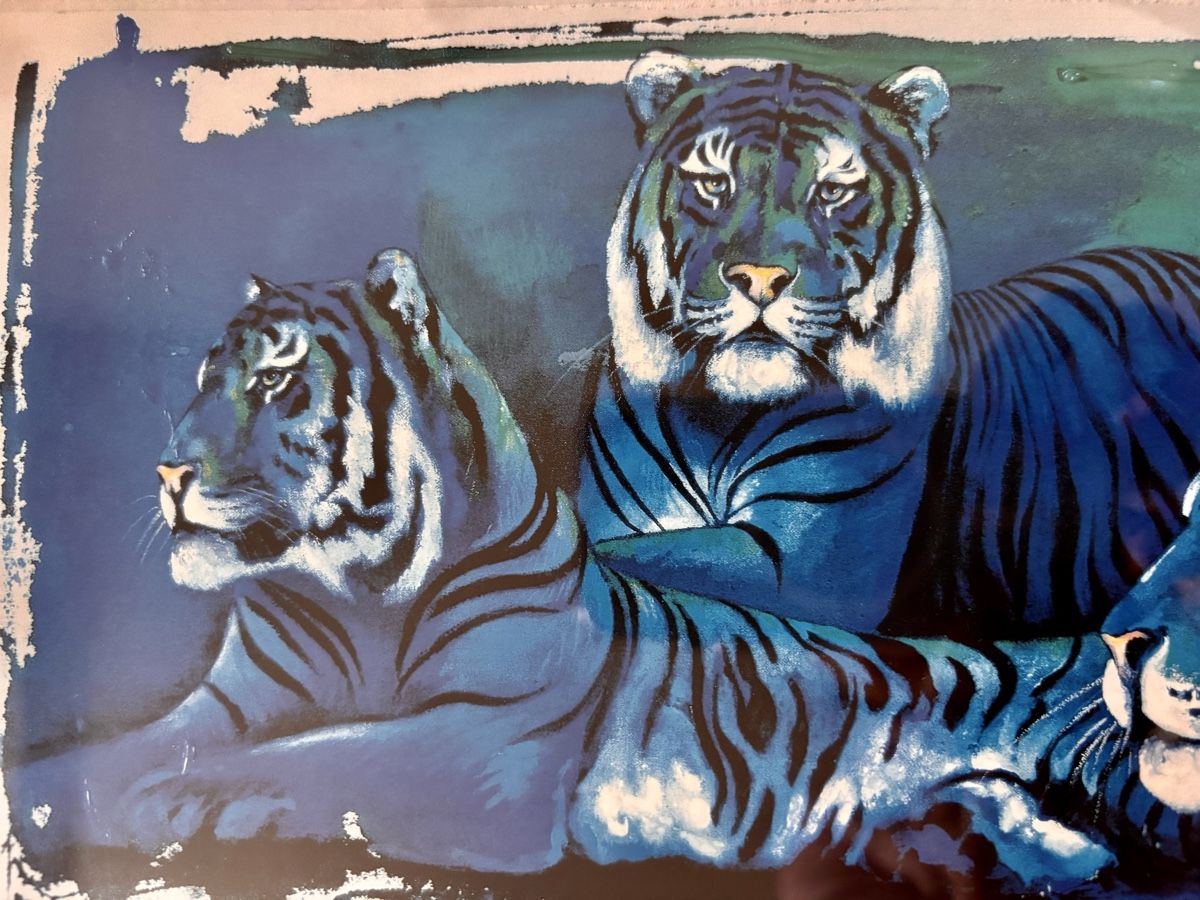 Poster & Bilder: schönes Rolf Knie Bild withe Tigers – Gebraucht aus Bern von cocacola123 1