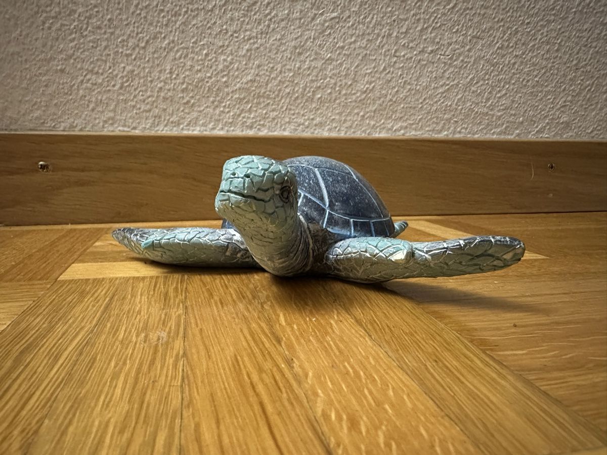 Alle Dekorationen: Dekoration Schildkröte – Gebraucht aus Winterthur von ani_6p9f 2
