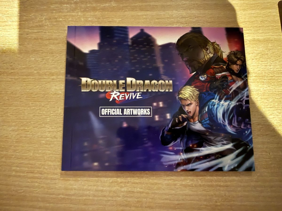 Giochi: Double Dragon Revive PS5 – Usato da Dietikon venduto da Molella 3