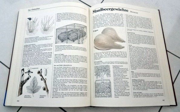 Livres: Selbstversorgung aus dem Garten – D'occasion à Wetzikon ZH par strubeli024 4