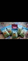 Pokémon Packs 17 Karten Garantierter Hit