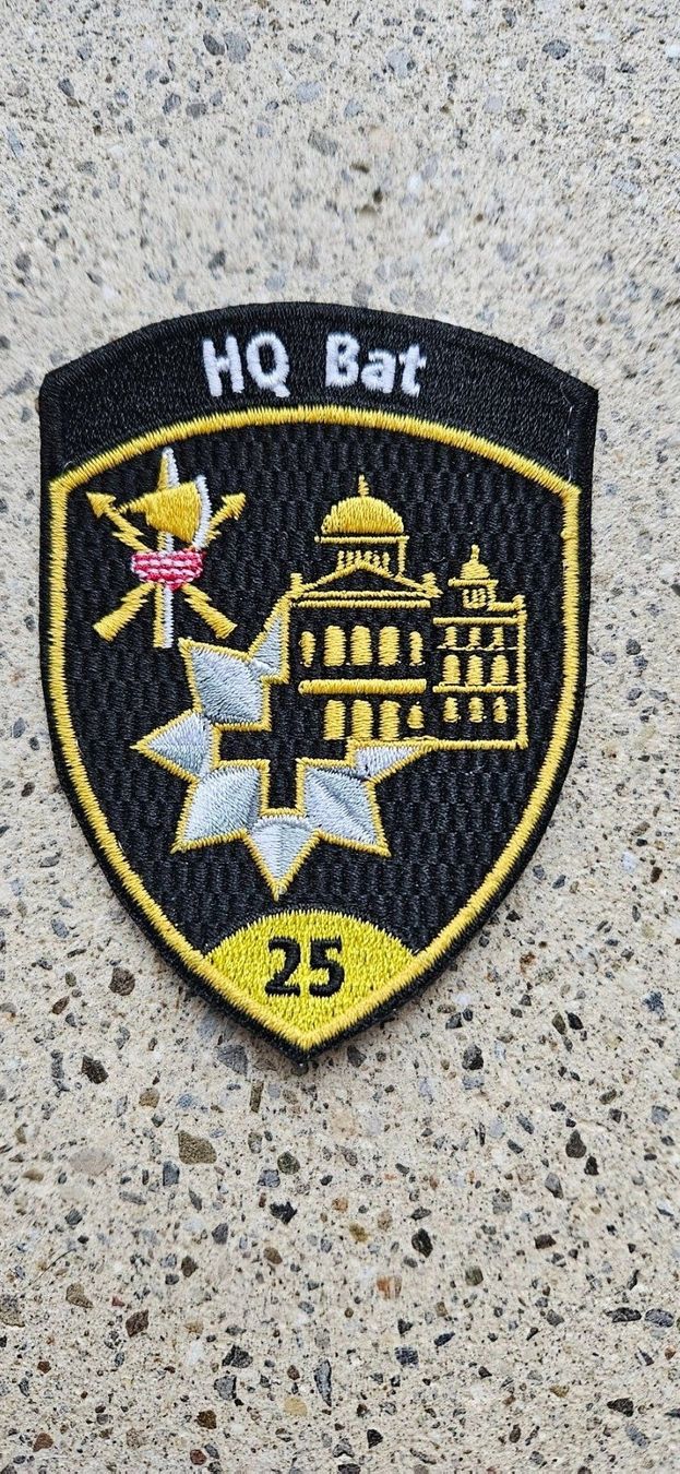 Schweizer Armee Placchette & Badge:  *** Badge HQ Bat ohne Klett ***  – Nuovo e nell'imballaggio originale da Riedholz venduto da fr_sIruP