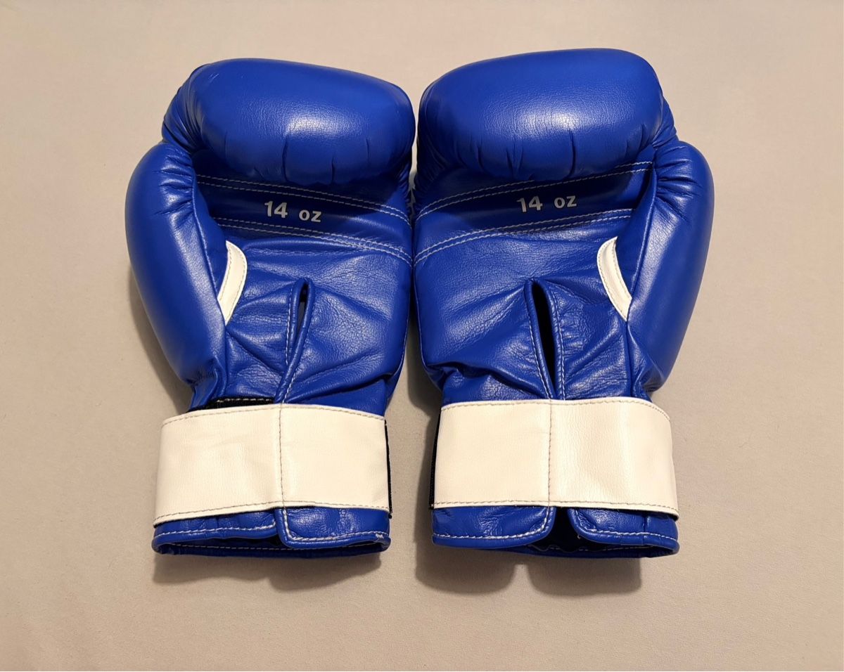 Gants & mitaines : Winning Boxhandschuhe 14oz Blau – D'occasion à Trimmis par fly_68ps 1