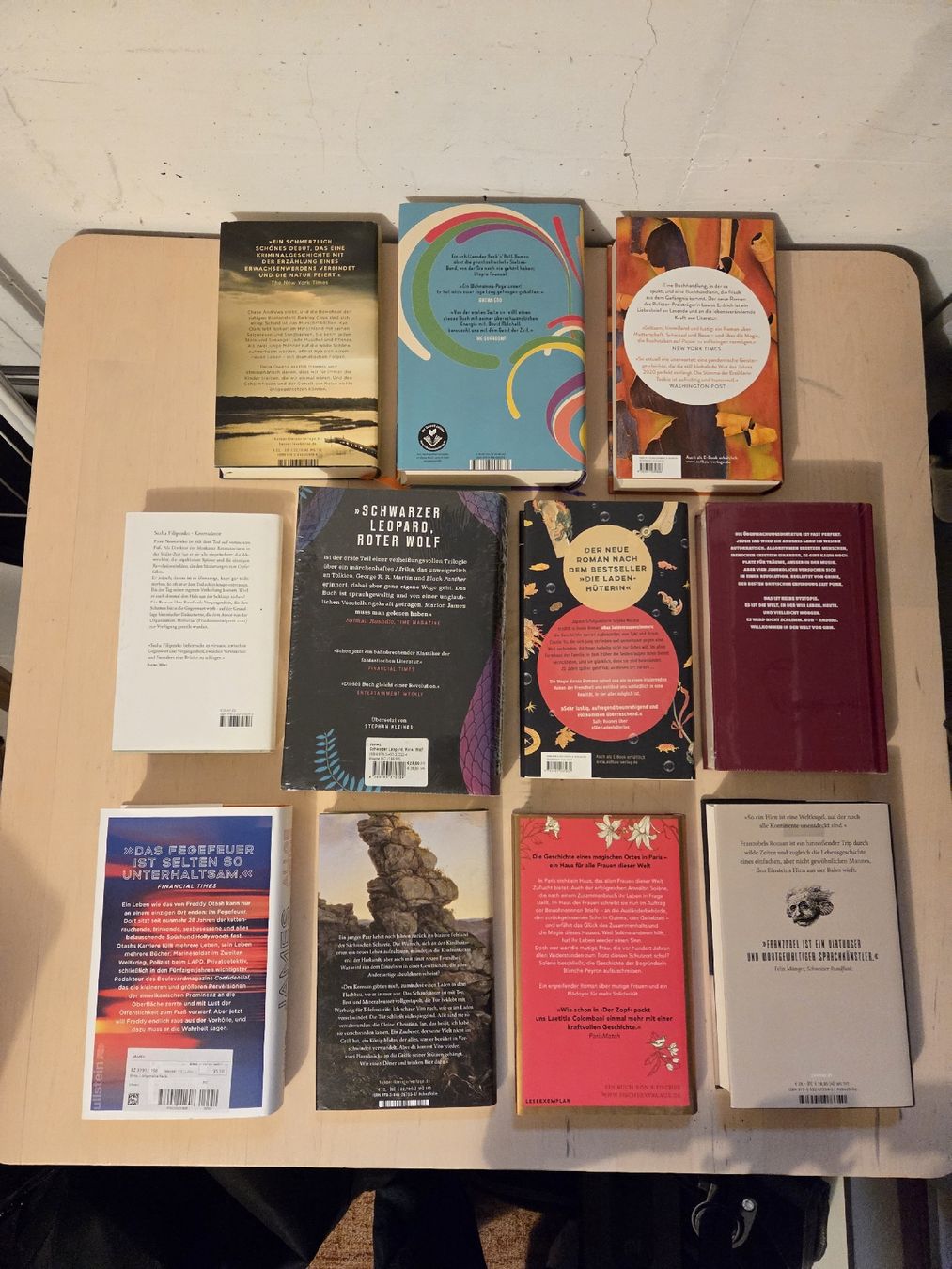 Libri: 12 gebundene Romane auf Deutsch – Usato da Bonstetten venduto da Emily 1