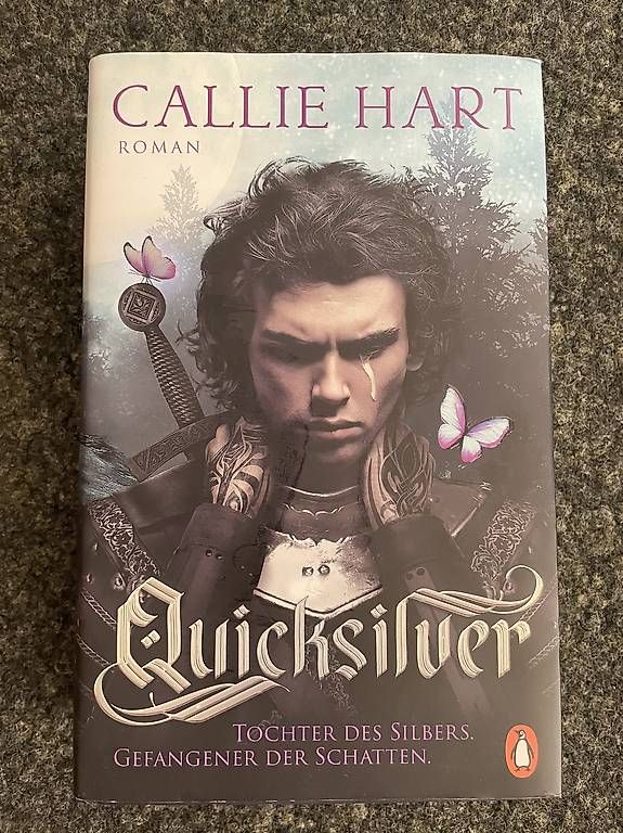 Libri: Quicksilver – Usato da Kriechenwil venduto da nin_bv9h