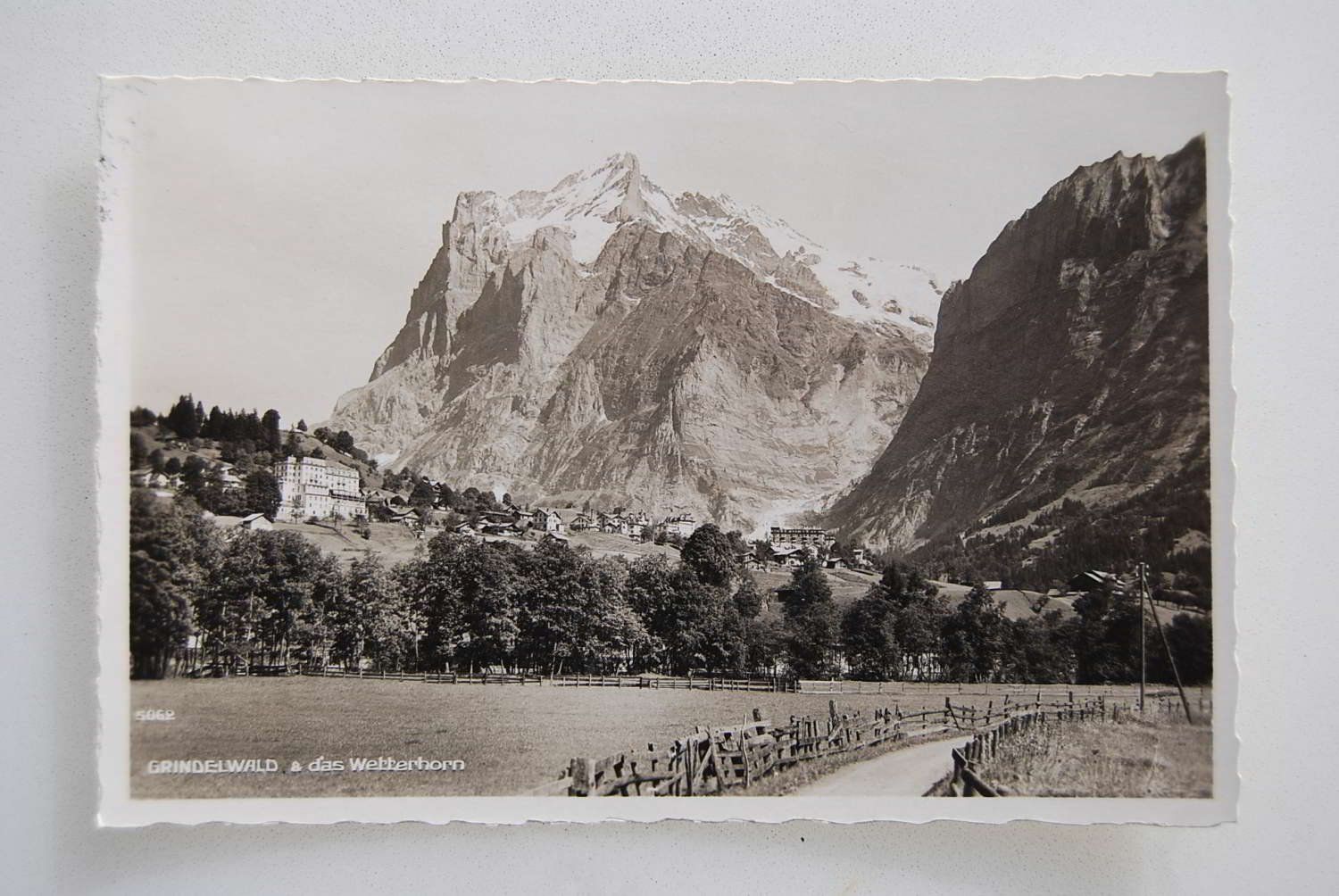 Cartoline postali: AK Grindelwald & das Wetterhorn – Usato da Rüfenacht BE venduto da Toro06