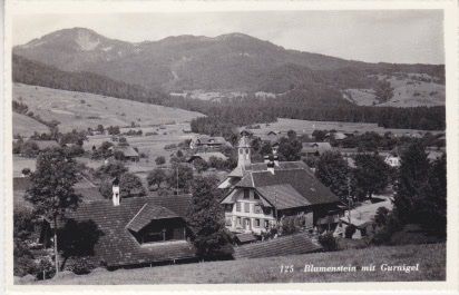 Cartoline postali: Blumenstein mit Gurnigel (BE) 1955 – Usato da Schlieren venduto da petros38