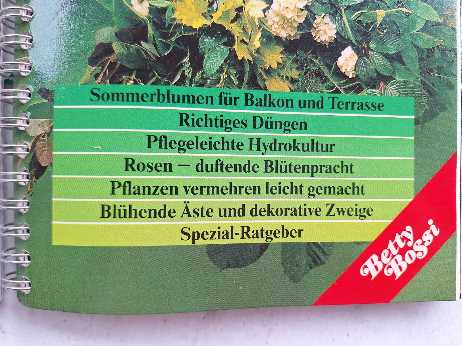 Libri: BB IMMERGRÜN 2 & 3 – Usato da Huttwil venduto da Kunterbuntli 2