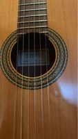 Gitarre Akustik mit Koffer gut erhalten