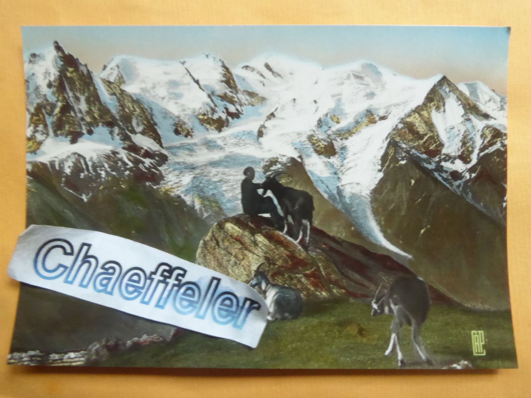 Cartoline postali: 65 Chamonix - Mont - Blanc – Nuovo (secondo la descrizione) da Zürich venduto da Chaeffeler