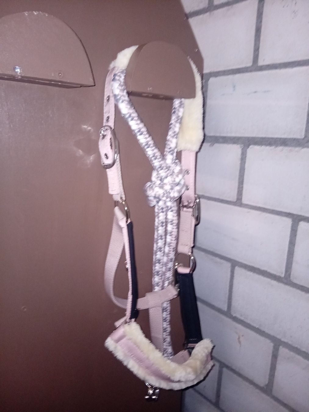 Brides, licols: Neues Halfter mit passendem Strick – Neuf (Voir description) à Amriswil par Landherzli