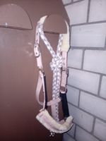 Neues Halfter mit passendem Strick