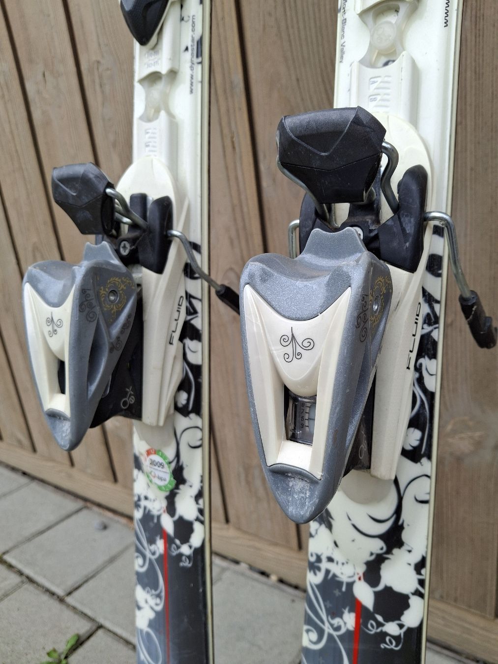 Dynastar Sci: Dynastar Ski 163cm – Usato da Plasselb venduto da PG14 3
