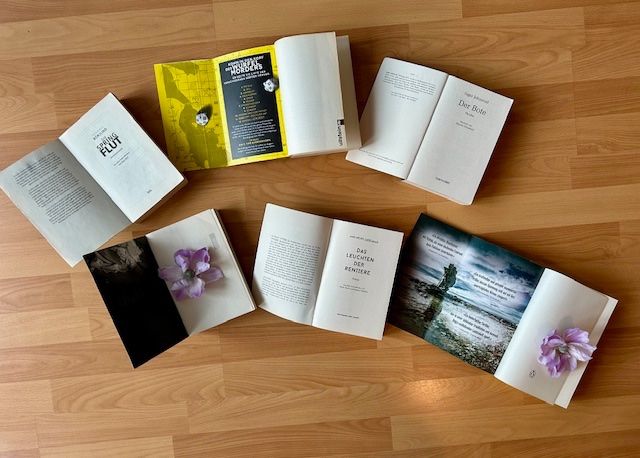 Bücher: Cilla & Rolf Börjlind, Stefan Ahnhem, Ingar Johnsrud, Robert – Gebraucht aus Bern von Denzel8 7