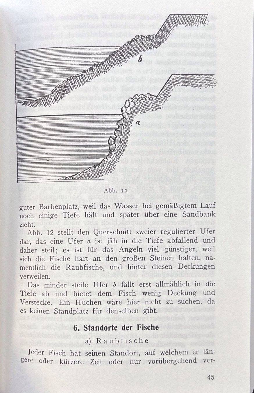 Libri: Fellner Gustav, Der Angelsport – Nuovo (secondo la descrizione) da Sarnen venduto da Livres 7