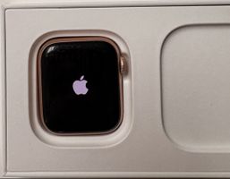 Apple Watch Rosegold 40mm