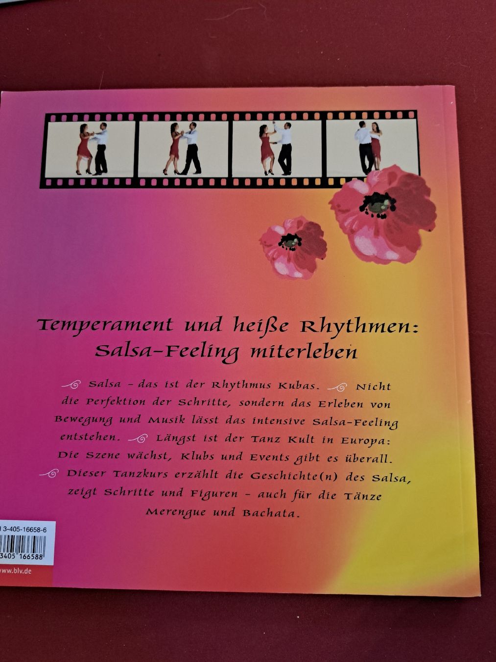 Libri: Salsa – Usato da magden venduto da cam_w2ff 1