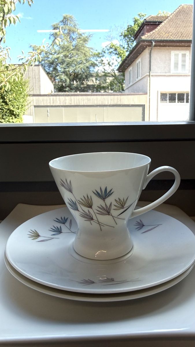 Rosenthal Set di piatti: Rosenthal "Form 2000 Blütenspiel" Kaffeeservice, 15-teilig  – Usato da Kreuzlingen venduto da ire_9kl2 5