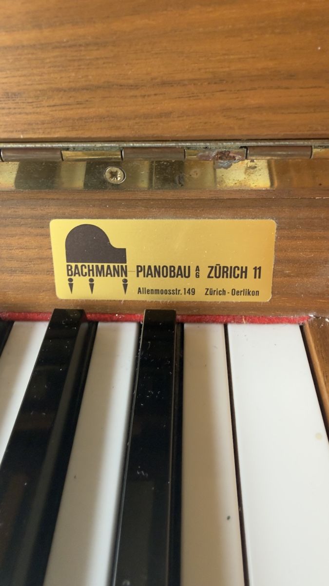 Hohner Strumenti musicali: Hohner Modell 106-1 – Usato da Dällikon venduto da Niklas2000 4
