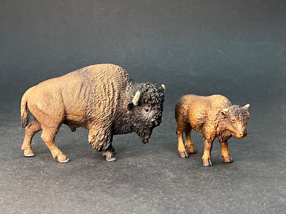 Schleich Bison mit Kalb Büffel | Kaufen auf Ricardo