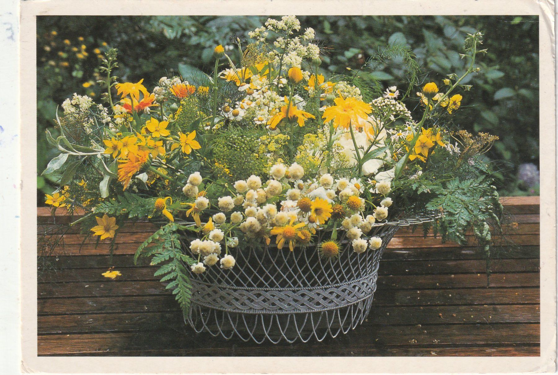 Ansichtskarten: Blumenkarte – Gebraucht aus Lumbrein von made02