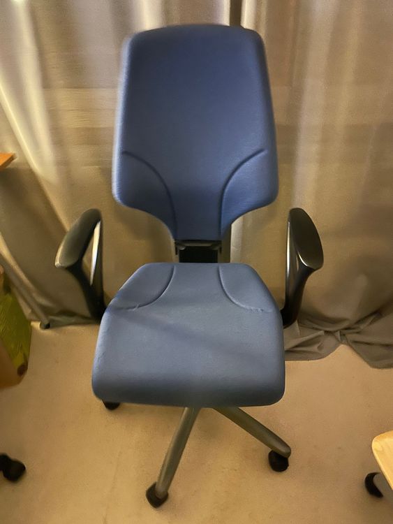 Ô le licol en nylon tout mouton - Bleu roi