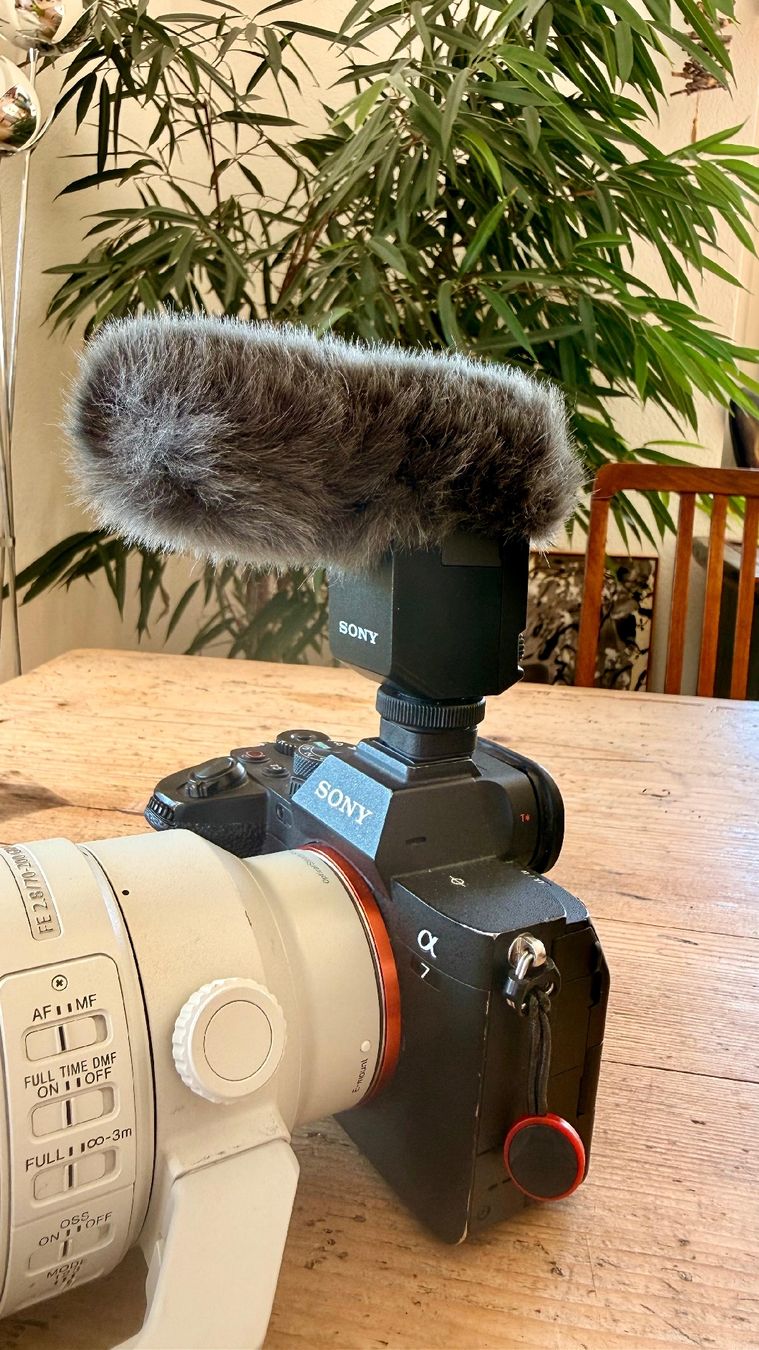 Sony Microfoni: Sony ECM-B1M (Mikrofon) – Nuovo (secondo la descrizione) da Ostermundigen venduto da Babuschka2 1