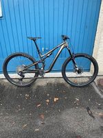 Specialized Stumpjumper 15 Expert 