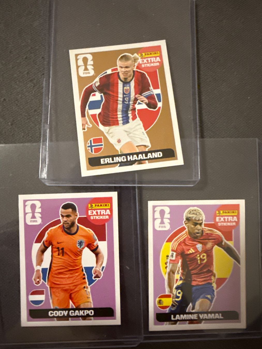 Panini Carte collezionabili: Panini Extra Sticker 3x – Usato da Chur venduto da raf_h96v
