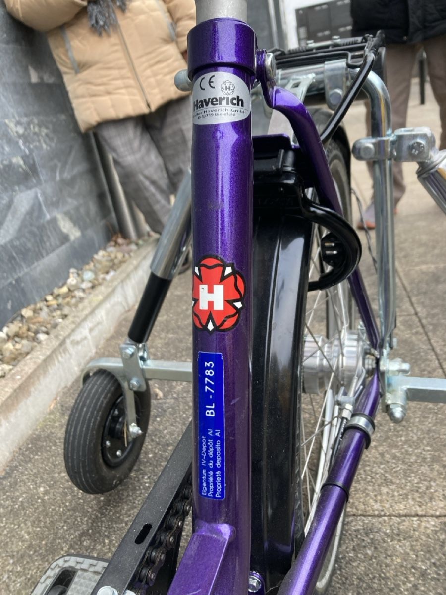 Biciclette: Haverich Dreirad  – Usato da Schlieren venduto da Sistersim 5
