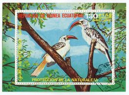 Block "Nashornvögel". Äquatorialguinea