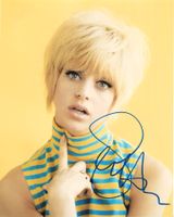 GOLDIE HAWN - handsigniertes Grossfoto (20 x 25 cm) mit COA