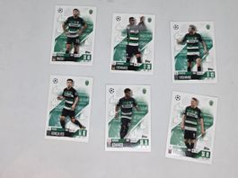 6 Match Attax Champions 2024/2025 "Sporting Lisboa"