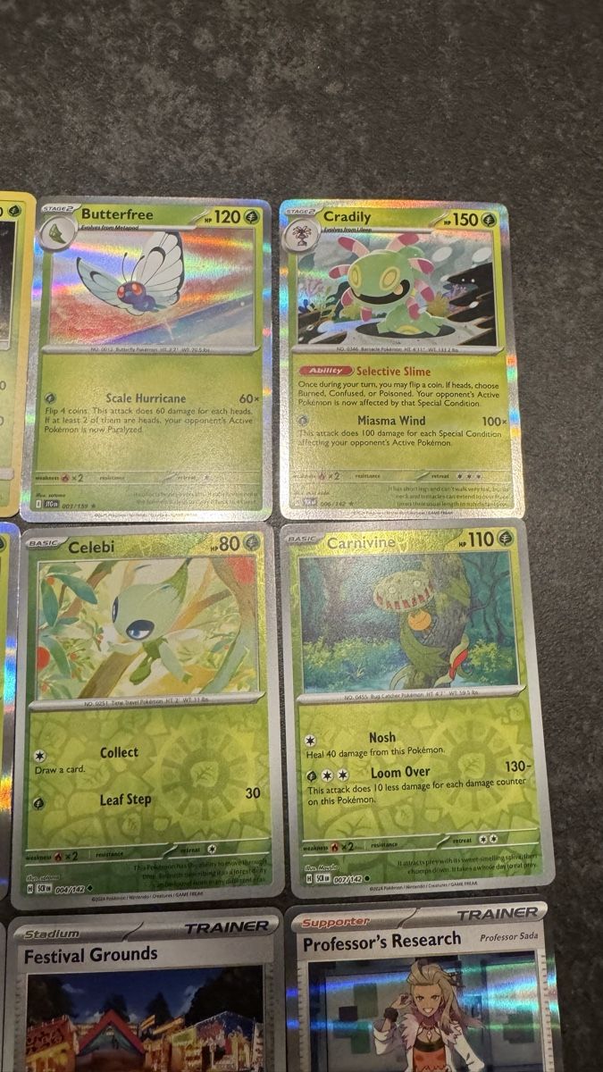 Pokémon Carte collezionabili: Pokemon Karten Pflanzen Set - Holos – Nuovo (secondo la descrizione) da Dietlikon venduto da abd_7qwy 2