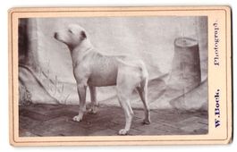 Fotografie Wilhelm Bock, Gaarden i. H., 