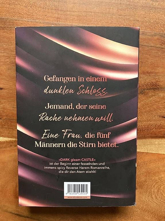 Libri: Dark Gleam Castle von D.C ODESZA – Usato da Winterthur venduto da horvath09 1